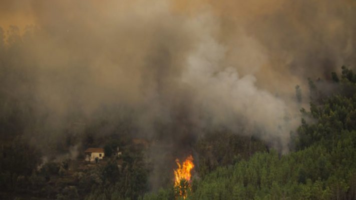 Incêndios Cerca De 40 Concelhos De Seis Distritos Em Risco Máximo 7928