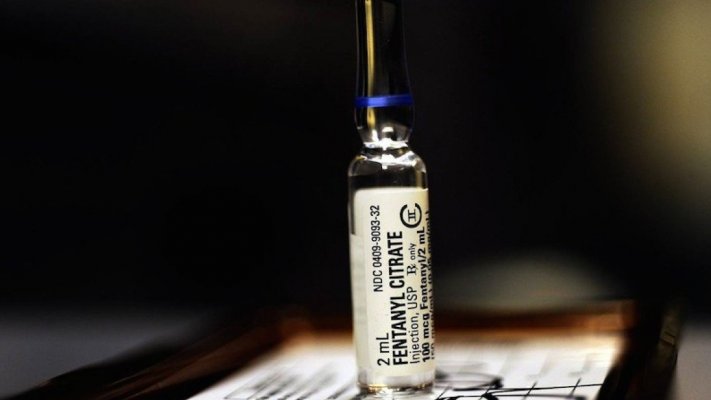 Apreendida fentanil suficiente para matar metade da população da Florida  nos EUA – Notícias de Coimbra