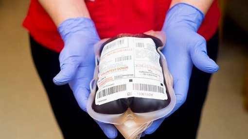 Instituto apela à dádiva de sangue no Dia Mundial do Dador