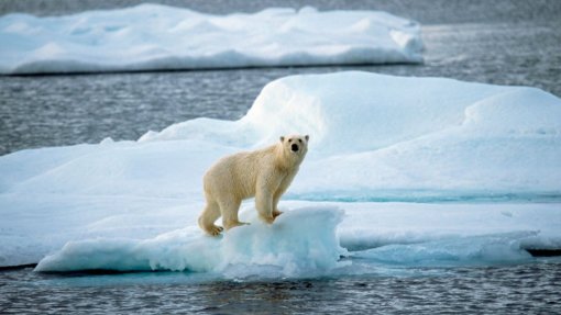 Clima: Organizações de saúde americanas pedem ação para resolver emergência