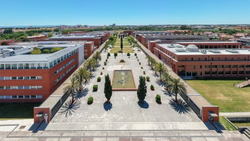 Experiência laboratorial em Aveiro mostra que queimadas são perigo para a saúde