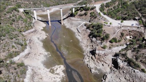 Nas margens do Tejo contam-se prejuízos e pede-se ação para salvar o rio