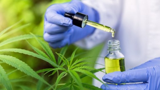 Observatório de Canábis Medicinal disponibiliza produto para que seja feita contra-análise