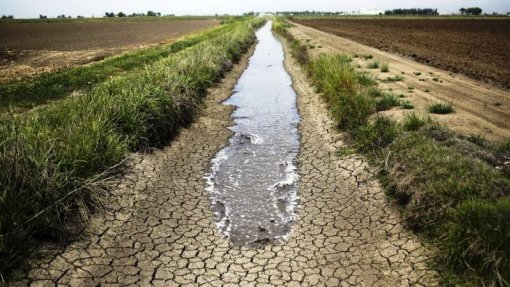 Seca, lítio e apanha noturna de azeitona na lista do pior do ambiente em 2019