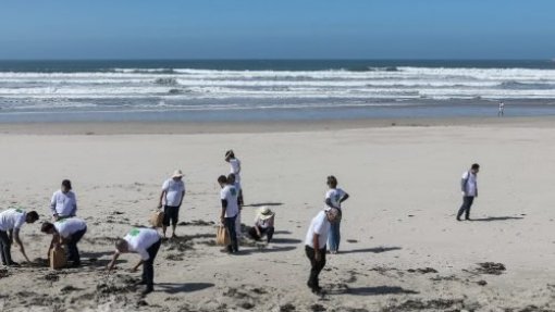 Cidadãos podem retirar madeira acumulada nas praias da Figueira da Foz