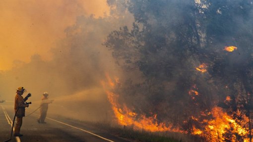 Cientistas adaptam investigação aos novos riscos dos incêndios