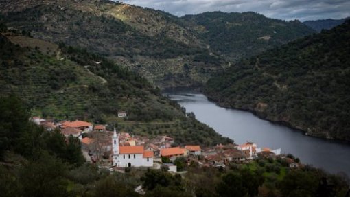 Covid-19: Amieiro recorda como sete colinas e fogueiras protegeram aldeia da pneumónica