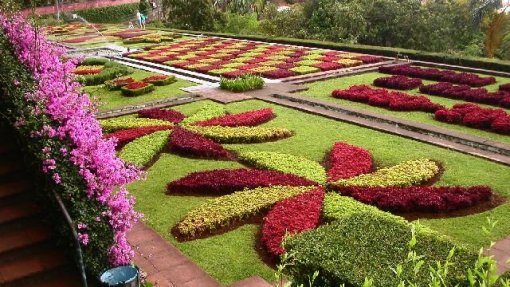 Covid-19: Madeira encerra Jardim Botânico, Jardins do Imperador e Casa das Queimadas