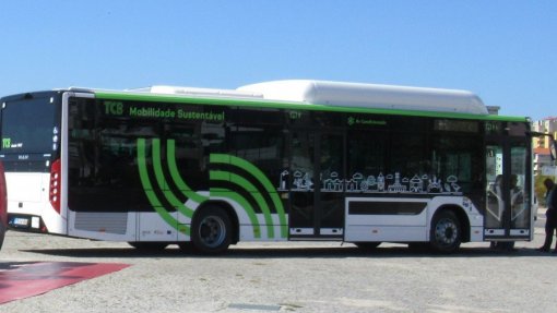 Covid-19: Transportes Coletivos do Barreiro com entradas pela porta traseira e sem bilhetes a bordo