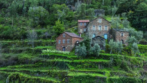 Covid-19: Rede Aldeias de Montanha apela à não deslocação para o Interior