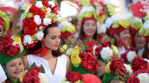 Covid-19: Governo da Madeira adiou Festa da Flor para setembro