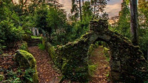 Covid-19: Mata do Bussaco fecha portões por tempo indeterminado