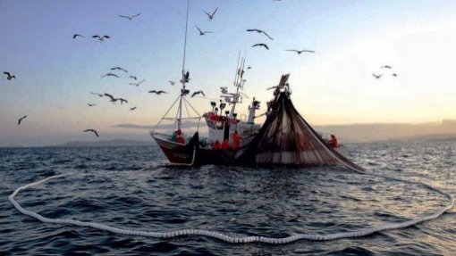 Covid-19: Açores suspendem taxas aos produtores e compradores de pescado