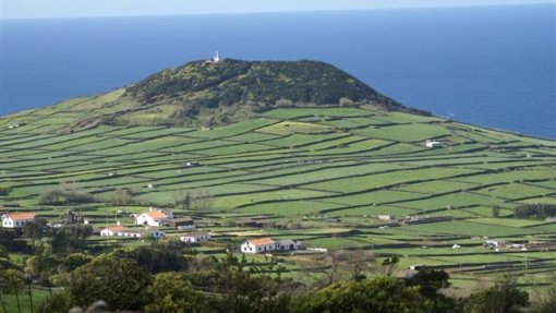 Covid-19: Mais de 1.500 pessoas em vigilância ativa nos Açores