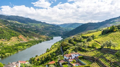 Covid-19: Emigrantes que chegaram à Régua notificados a cumprir quarentena