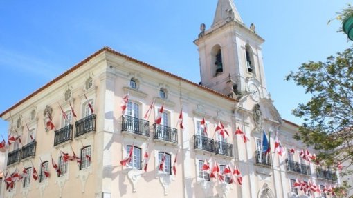 Covid-19: Aveiro suspende recolha porta a porta e intensifica lavagens e desinfeções