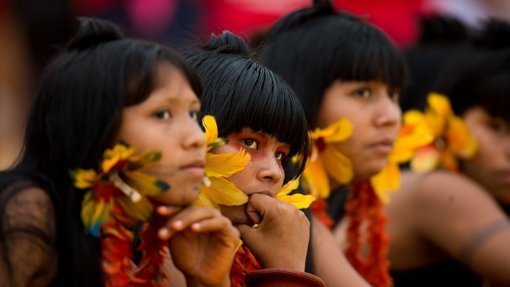 Covid-19: Brasil protege índios isolados para afastar possibilidade de infeção