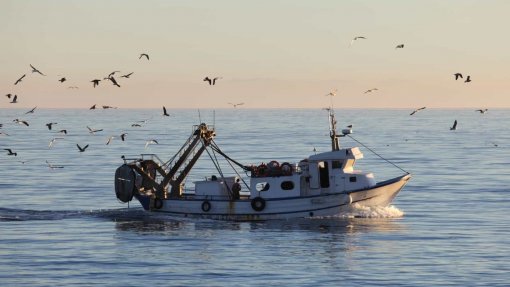 Covid-19: Pescadores de Caminha exigem suspensão da atividade e pedem apoios