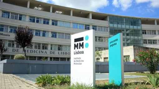 Covid-19: Universidade de Lisboa vai fabricar cerca de 1.000 testes por dia