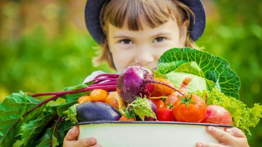 Covid-19: DGS quer crianças a comer mais legumes e fruta e a evitar &#039;snacks&#039; 