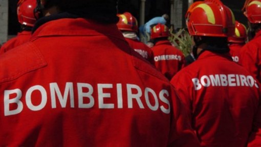 Covid-19: Em tempo de pandemia, bombeiros de Montalegre repartem esforços entre incêndios e neve