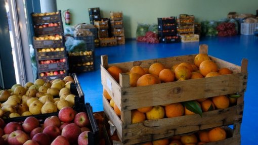 Covid-19: &quot;Mercado Solidário&quot; da Câmara de Lisboa distribui frescos por famílias de bairros municipais