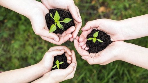 Covid-19: Ecologistas relacionam pandemias com destruição do meio ambiente