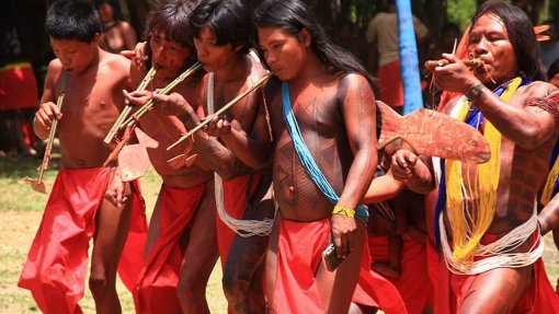 Covid-19: Organizações denunciam invasões em reservas e infeção de indígenas no Brasil