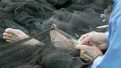 Covid-19: Rendimentos e proteção de pescadores causa preocupação na Ilha da Culatra