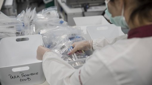 Covid-19: Oitenta voluntários asseguram testes em laboratório da Universidade de Coimbra