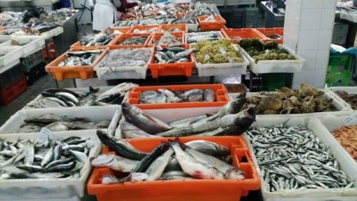 Covid-19: Mercado de Angeiras em Matosinhos reaberto