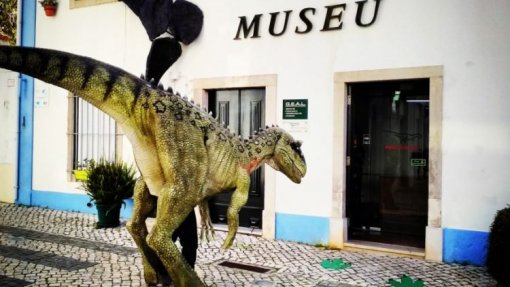 Covid-19: Museu da Lourinhã entra em ‘lay off’ e lança campanha para receber donativos