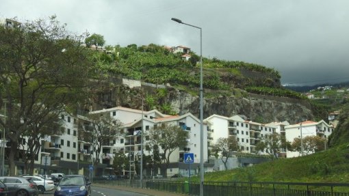 Covid-19: Câmara de Lobos tem vivido &quot;dias intensos&quot; com a cerca sanitária - Junta de Freguesia