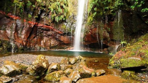 Covid-19:Madeira quer pessoas a &quot;sonhar&quot; e fomentar desejo de visitar a ilha