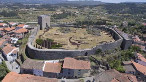 Covid-19: Empresária hortícola de Celorico da Beira espera reabertura de mercados para evitar “desastre”