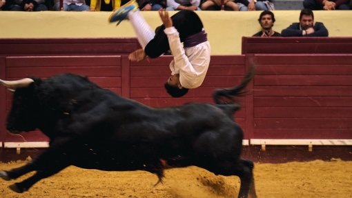 Covid-19: Setor tauromáquico exige medidas de apoio