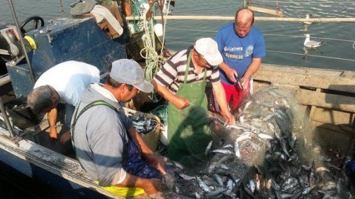 Covid-19: Pescadores da Figueira da Foz protegem-se isolados em casa ou nas embarcações