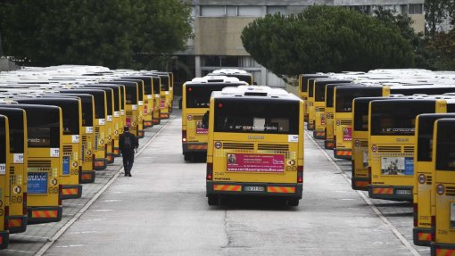 Covid-19: Transportes públicos gratuitos para população de Montalegre