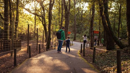 Covid-19: Parque Biológico de Gaia com reabertura por decidir prepara medidas preventivas