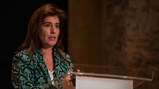 Covid-19: Crise &quot;leva a refletir sobre todo o sistema de proteção&quot; - Ministra