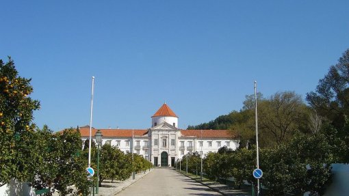 Covid-19: Recuperados utentes do lar militar de Torres Vedras que estavam infetados