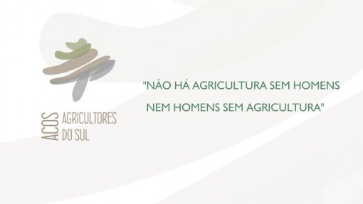 Covid-19: Associação exige “apoio imediato” para evitar falências na agricultura