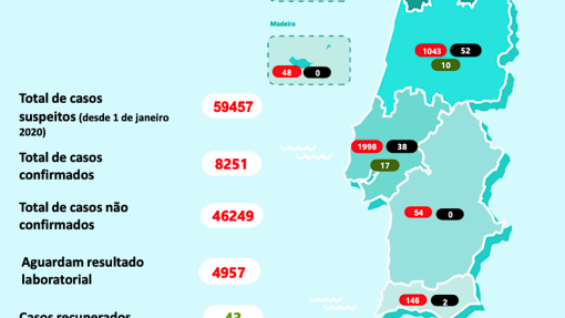 Covid-19: DGS vai divulgar dados mais atualizados nos boletins diários