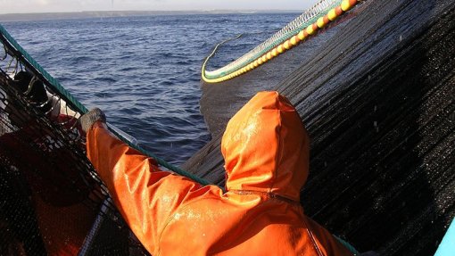 Covid-19: Associação prevê testes a dois mil pescadores do Norte