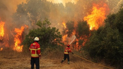 Incêndios: Meios de combate são reforçados com desafio simultâneo de resposta à covid-19