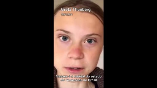 Covid-19: Greta Thunberg e outros ativistas gravam vídeo pedindo ajuda para a Amazónia