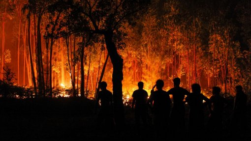 Covid-19: Contexto do risco de incêndios é “preocupante” em 2020 – observatório