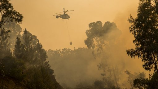 Incêndios: Evolução da pandemia pode influenciar &quot;de forma decisiva&quot; dispositivo - Observatório