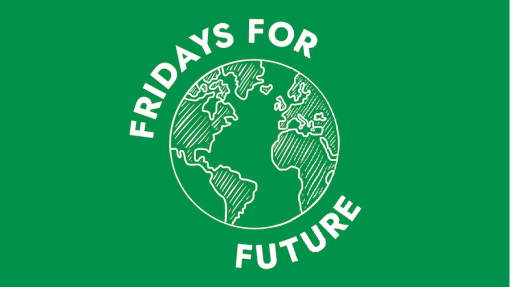 Covid-19: Fridays for Future lança recolha de fundos para comunidades indígenas na Amazónia