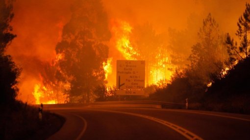 Observatório Técnico Independente alerta que fogos de 2017 se podem repetir